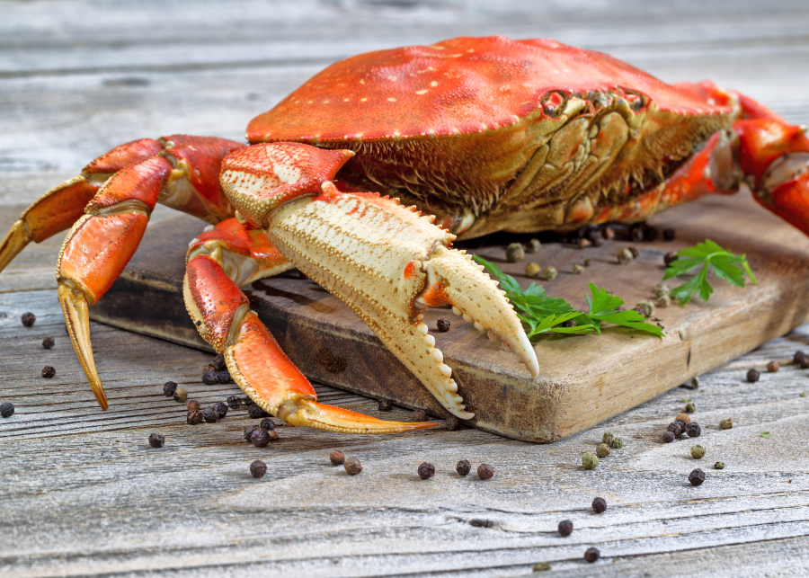 Whole-Cooked-Dungeness-Crab